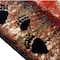 Flash Furniture 4' x 5' Brown Rustic Bear and Cub Olefin Area Rug KP-RGB3940-45-BN-GG - alternate 6
